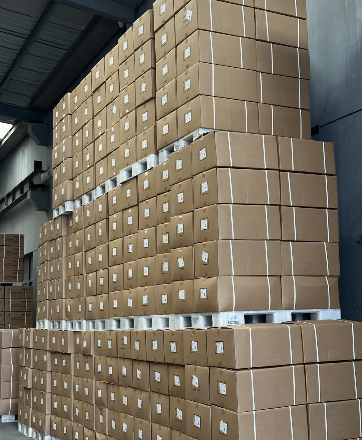 WANZO Socks Ready for Shipment